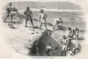 Tunisia / Carthage / Excav