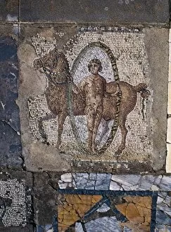 TUNISIA. Carthage. House of Horses. Opus tessellatum