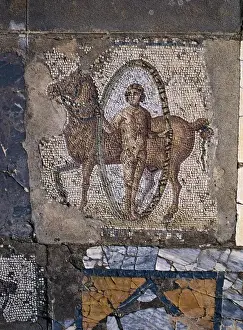 Tunis Prints: TUNISIA. Carthage. House of Horses. Opus tessellatum