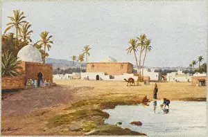 Tunisia / Nefta