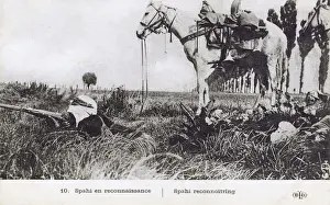 Camouflaged Prints: Tunisia - A Spahi reconnoitering