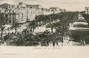 Tunisia - Tunis - Avenue de la Marine