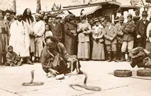 Tunis Prints: Tunisia - Tunis - Street Snake Charmer with a pair of cobras