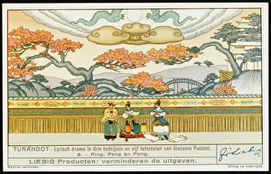 Courtiers Gallery: Turandot Liebig 2