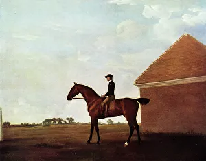 Turf Prints: Turf, with Jockey up, at Newmarket, by George Stubbs