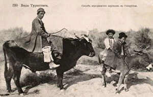 Turkestan - One man riding a bull and two on a donkey