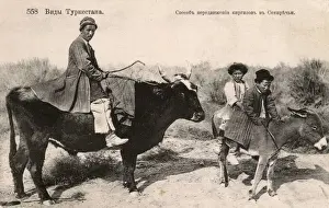 Oxen Prints: Turkestan - One man riding a bull and two on a donkey