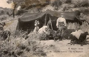 Adana Gallery: Turkey - Adana - Rural Scene with goat herders
