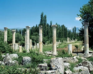 Agora Gallery: Turkey. Asia Minor. Ephesus. Ruins of Commercial Agora. Near