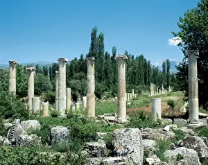 Selcuk Prints: Turkey. Asia Minor. Ephesus. Ruins of Commercial Agora. Near