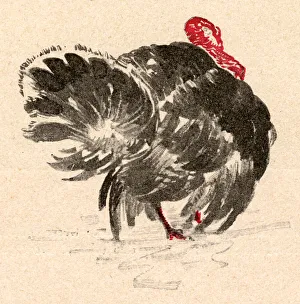 Images Dated 29th January 2018: TURKEY (JUGEND)