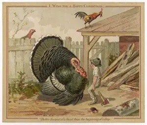 Encounters Prints: Turkey and its Killer
