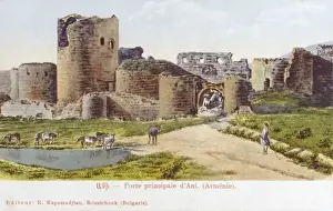 Principle Prints: Turkey - The Walls of Ani