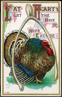 Turkey Gallery: Turkey and Wishbone