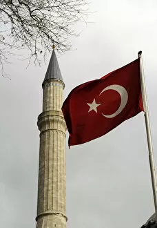 Images Dated 14th December 2013: Turkeys flag