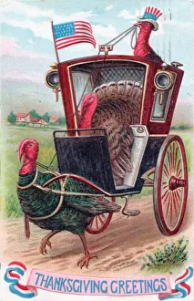 Three turkeys on a Thanksgiving postcard