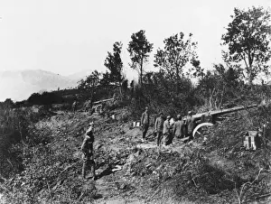 Cannons Prints: Turkish Cannon WWI