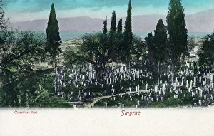 Cypress Prints: Turkish Cemetery at Izmir, Turkey
