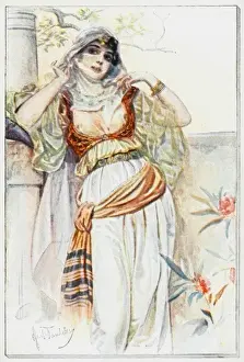 Turkish Veiled Harem Girl