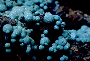 Aluminium Gallery: Turquoise variety Henwoodite