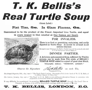 Images Dated 4th March 2011: Turtle Soup Advertisement