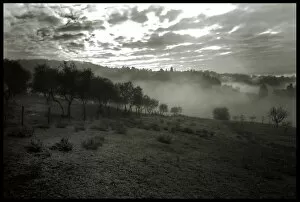 Tuscan landscape olive trees mist frost