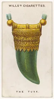 Tusk Talisman