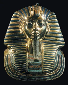 Cobra Prints: Tutankhamun