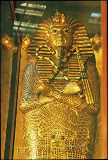 Dynasty Collection: Tutankhamun Sarcophagus