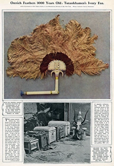 Handle Gallery: Tutankhamuns ivory fan with ostrich feathers