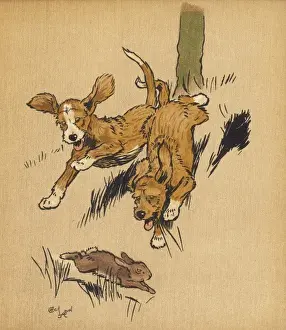 Twin puppies chasing a rabbit