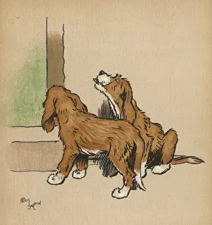 Explore Prints: Twin puppies explore