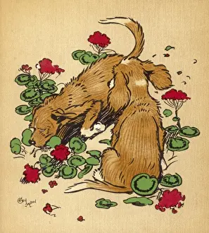 Behaved Prints: Twin puppies in geranium bed