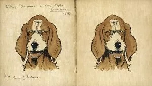 Hand Written Collection: Twin puppies, inside cover