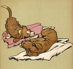 Twin puppies rolling on clean washing