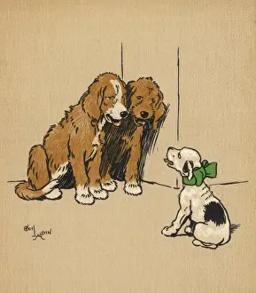Identify Prints: Twin puppies and a smaller puppy
