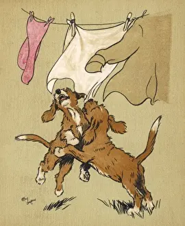 Flapping Prints: Twin puppies and washing line