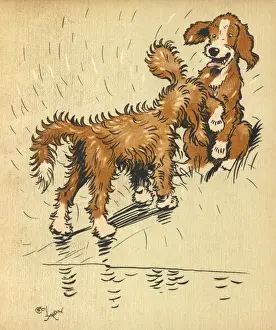 Shakes Prints: Twin puppy shaking off water