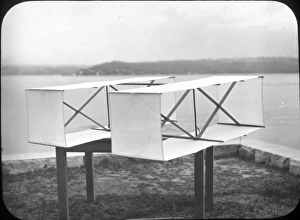 Celled Collection: Two-celled kite