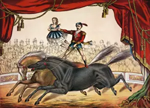 Stillness Prints: The two-horse act