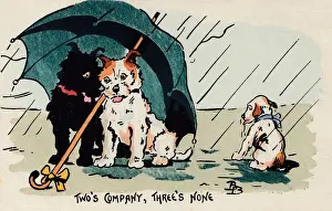 Twos Company
