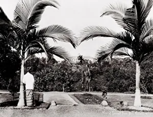 Tyersall from the Botanical Gardens Singapore