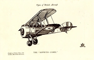 Images Dated 24th August 2017: Types of British Aircraft -- The Sopwith Camel