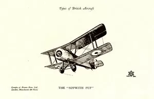 Images Dated 24th August 2017: Types of British Aircraft -- The Sopwith Pup