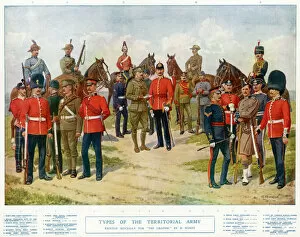 Highland Collection: Types of Territorials