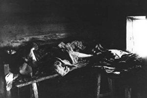 Abdominal Collection: Typhus Sufferers in Kniagin, Russia