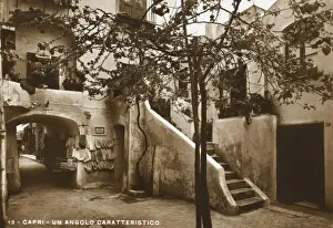 Bird Cage Prints: A typical corner on Capri - Italty