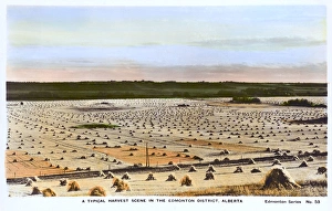 Alberta Gallery: Typical Harvest Scene, Edmonton, Alberta, Canada