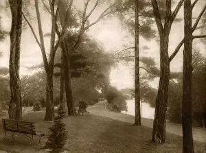 Typical scene on Driveway, Ottawa, Ontario, Canada