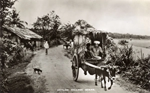 Images Dated 26th October 2016: Typical village scene, Ceylon (Sri Lanka)